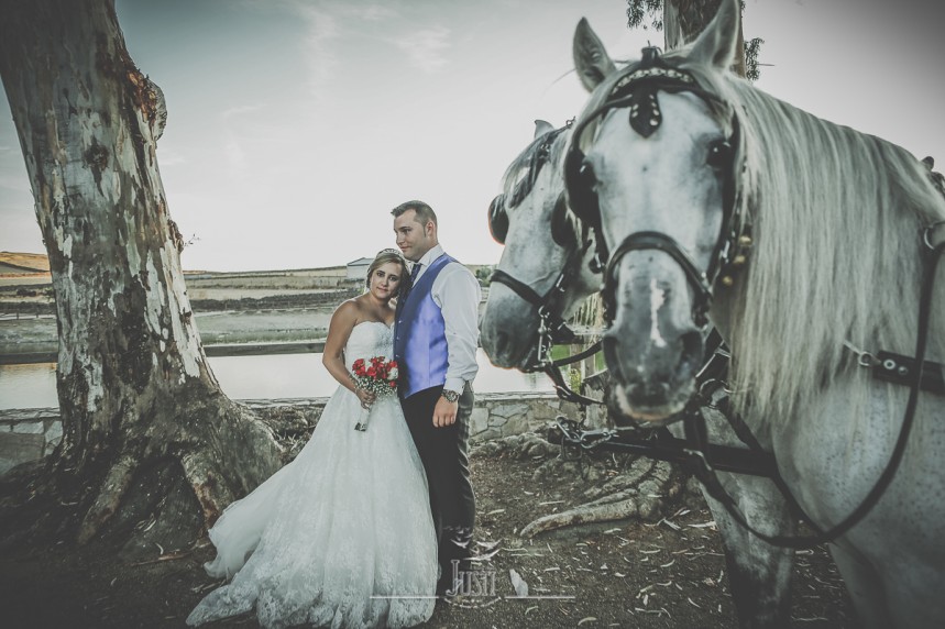 reportaje boda en miajadas escurial caceres fotografos profesionales Foto Video Justi (48 de 93)