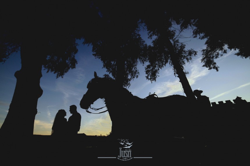 reportaje boda en miajadas escurial caceres fotografos profesionales Foto Video Justi (53 de 93)