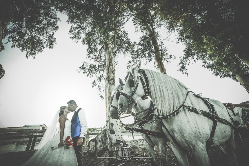 reportaje boda en miajadas escurial caceres fotografos profesionales Foto Video Justi (54 de 93)