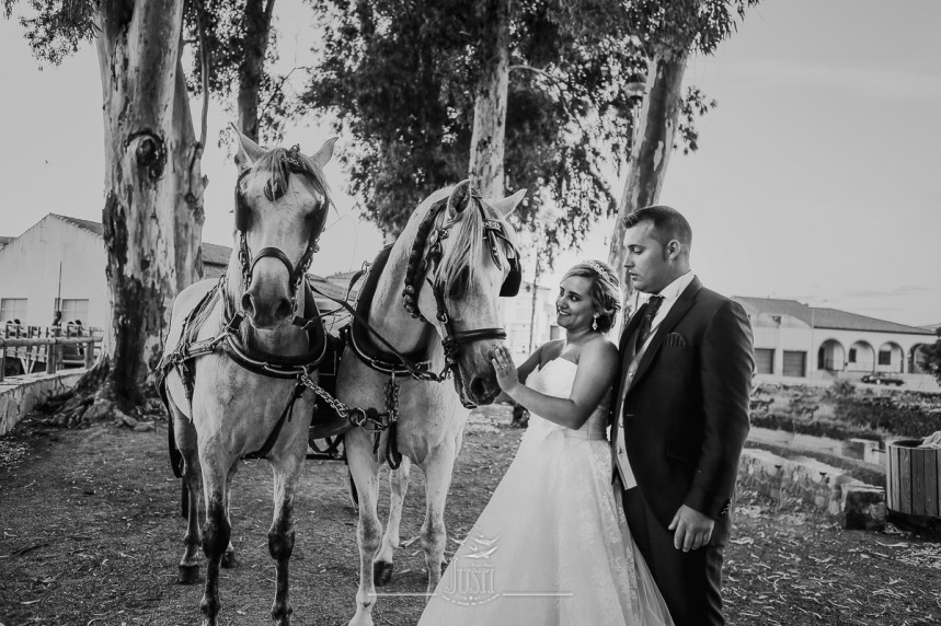 reportaje boda en miajadas escurial caceres fotografos profesionales Foto Video Justi (55 de 93)