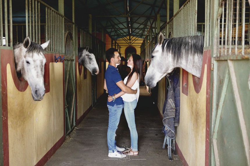 preboda con caballos jose luis y noelia_-9