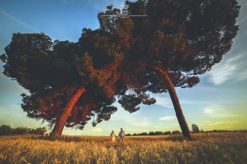 preboda en villanueva de la serena bajo los pinos