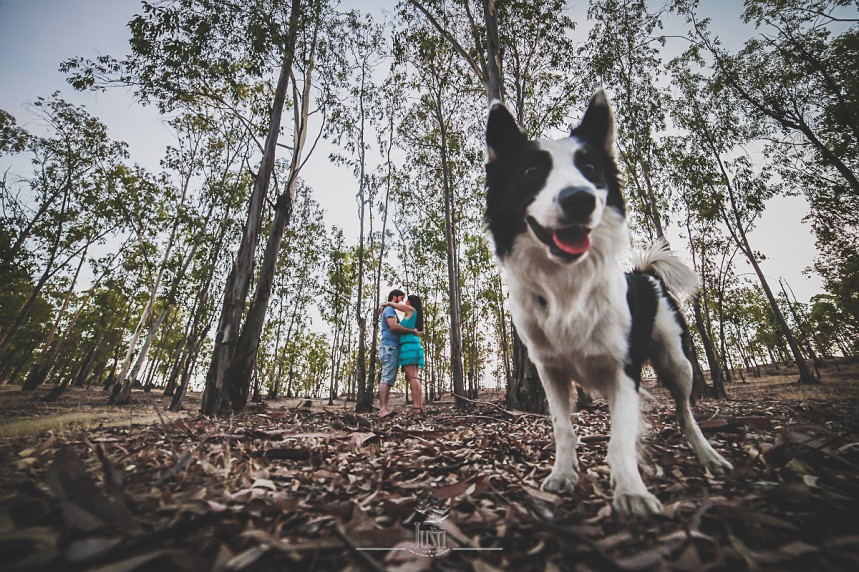 Luz y Kamylo - preboda en orellana la vieja con perro-20