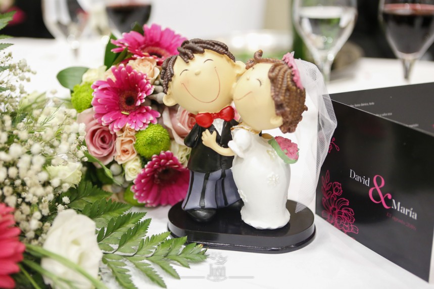 boda-david-y-maria-13-8-2016-74