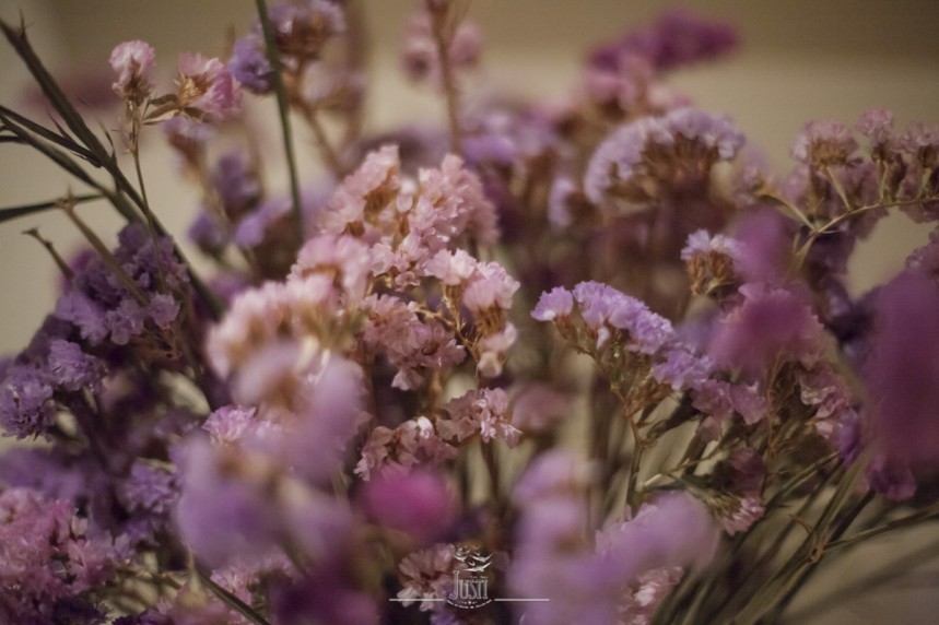 Foto Video Justi boda en Olivenza Badajoz-7922